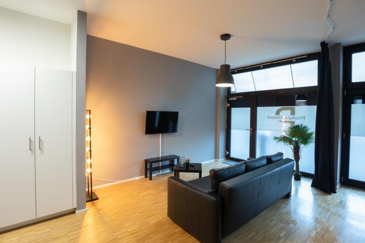 בזל Proapartment מראה חיצוני תמונה