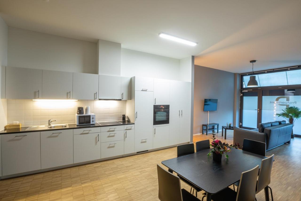 בזל Proapartment מראה חיצוני תמונה